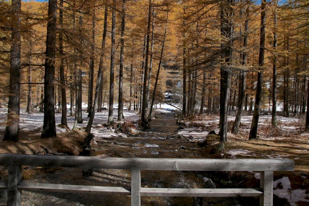 Vallé de la clarée