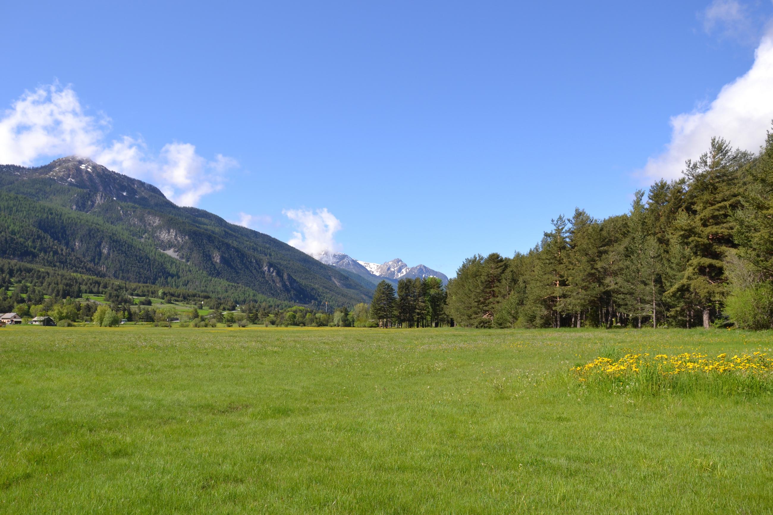 La Plaine l'été