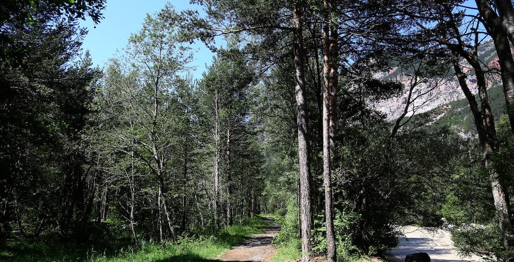 Ballades en clarée