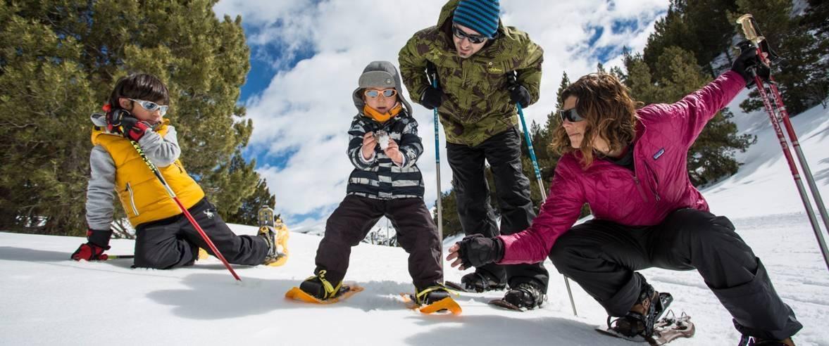 lescale-ludo-sporitive-bois-des-alberts-location-randonnee-raquettes-neige